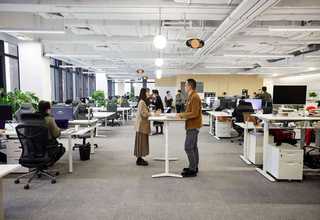 公司绿植租赁公司电话