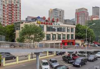 男士头帽贴批发价格