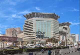 浙江平板塑料网带